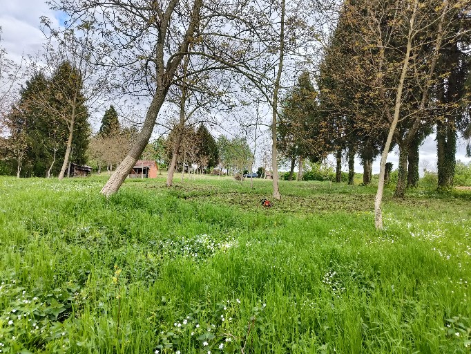 Zemljište Na prodaju - Bjelovarsko-bilogorska Kapela