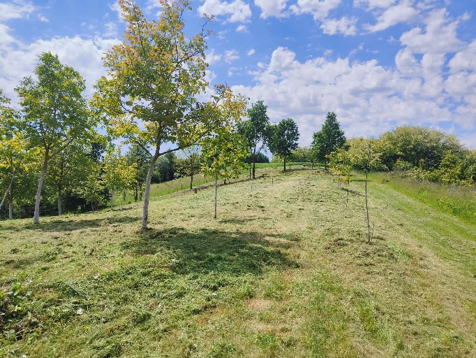 Zemljište Na prodaju - Bjelovarsko-bilogorska Kapela