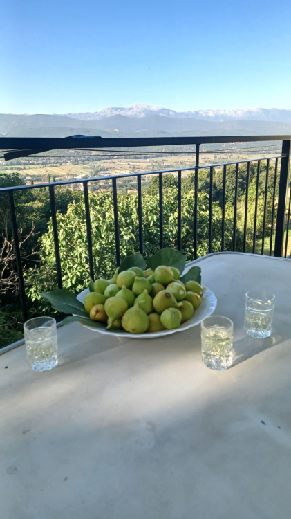 Hiša Naprodaj - Splitsko-dalmatinska Imotski
