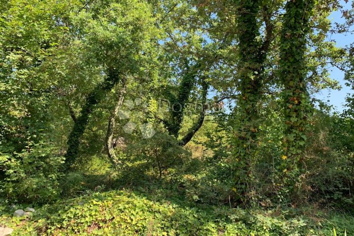 Land For sale - Istarska Kanfanar - foto 2/6