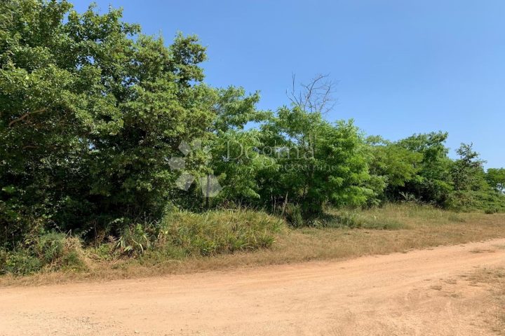 Land For sale - Istarska Kanfanar - foto 3/6