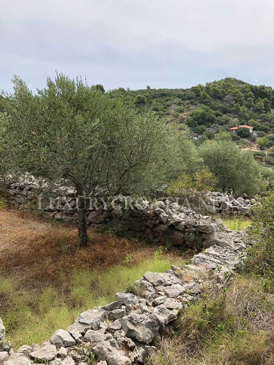 Dom Na sprzedaż - DUBROVAČKO-NERETVANSKA  KORČULA 