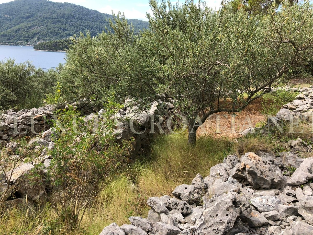 Haus Zu verkaufen - DUBROVAČKO-NERETVANSKA  KORČULA 