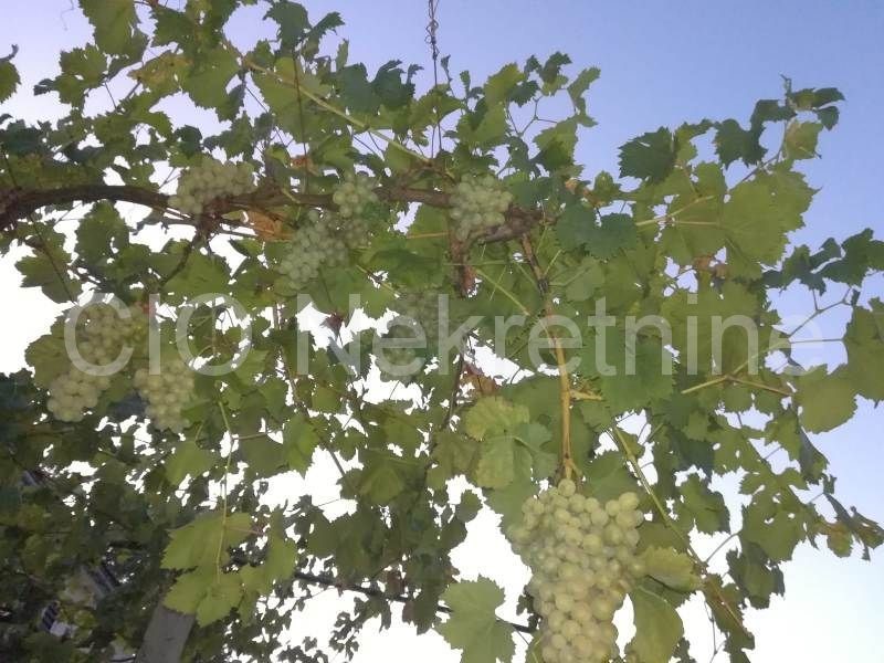 Kuća Na prodaju - SPLITSKO-DALMATINSKA  Trilj