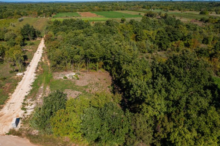 Land For sale - Istarska Svetvinčenat - foto 3/12