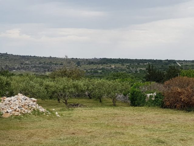 Land For sale - Splitsko-dalmatinska Brač - foto 3/9