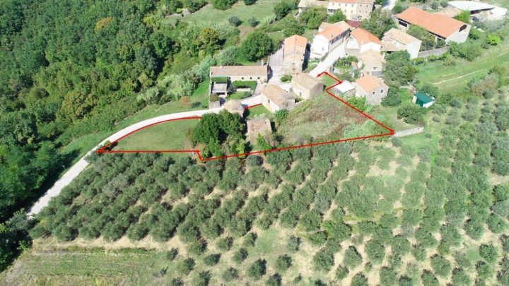 Dům na prodej 370 m² – Buje