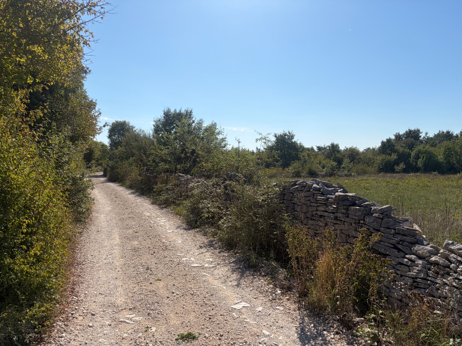 Land For sale - Istarska Svetvinčenat