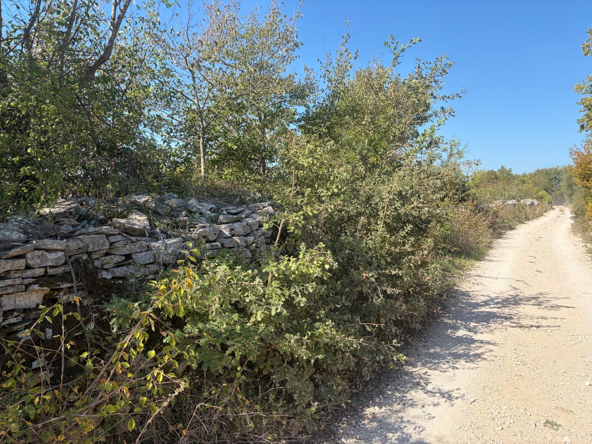 Land For sale - Istarska Svetvinčenat - foto 2/10
