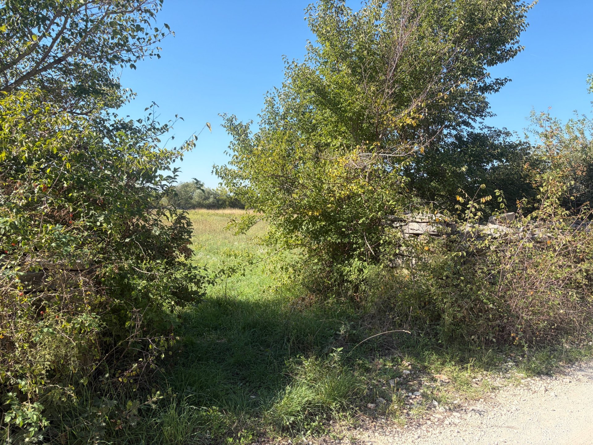 Land For sale - Istarska Svetvinčenat - foto 3/10