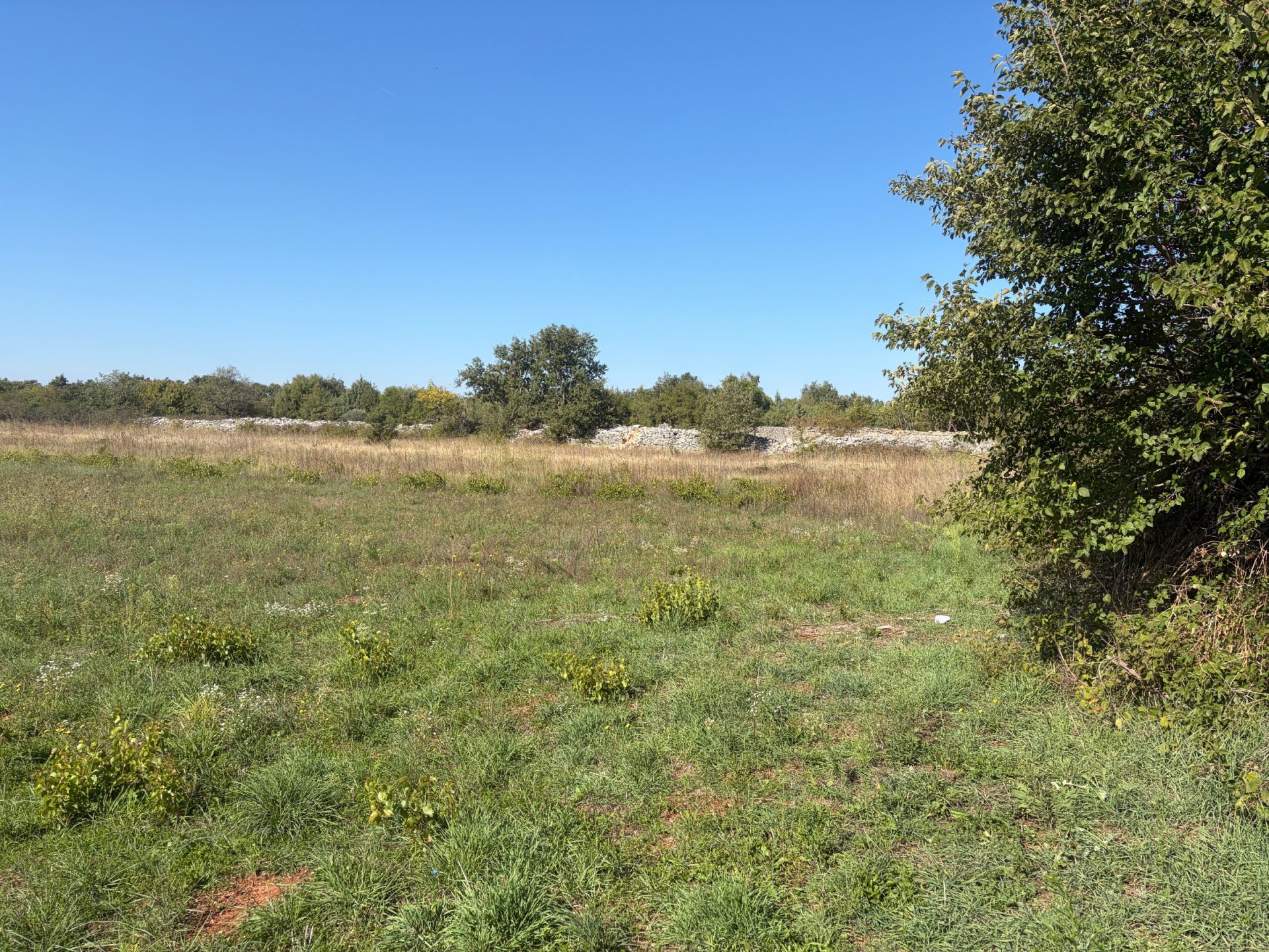Land For sale - Istarska Svetvinčenat - foto 5/10