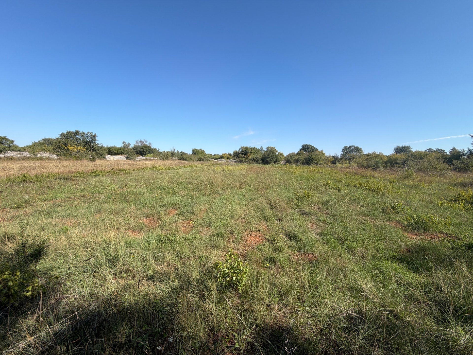 Land For sale - Istarska Svetvinčenat