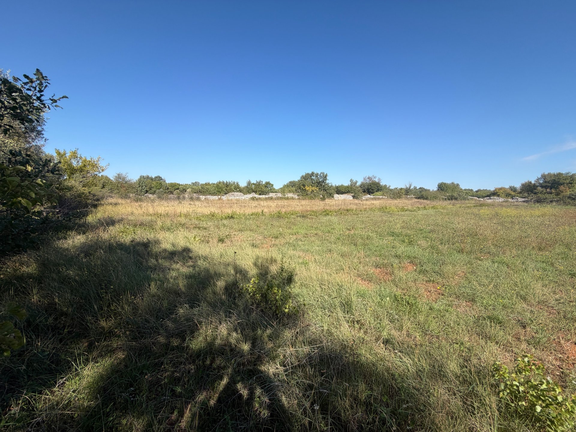 Land For sale - Istarska Svetvinčenat
