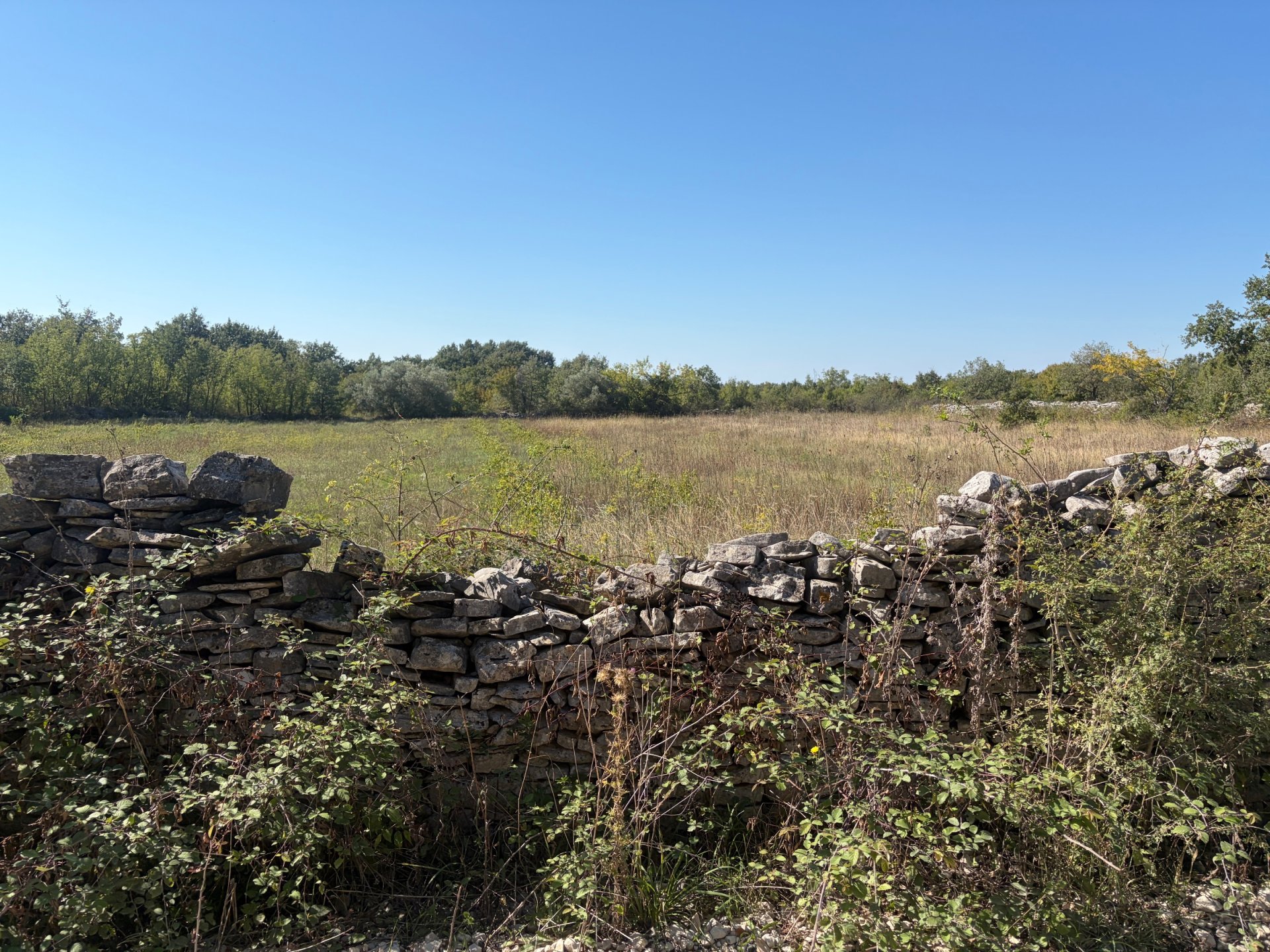 Land For sale - Istarska Svetvinčenat