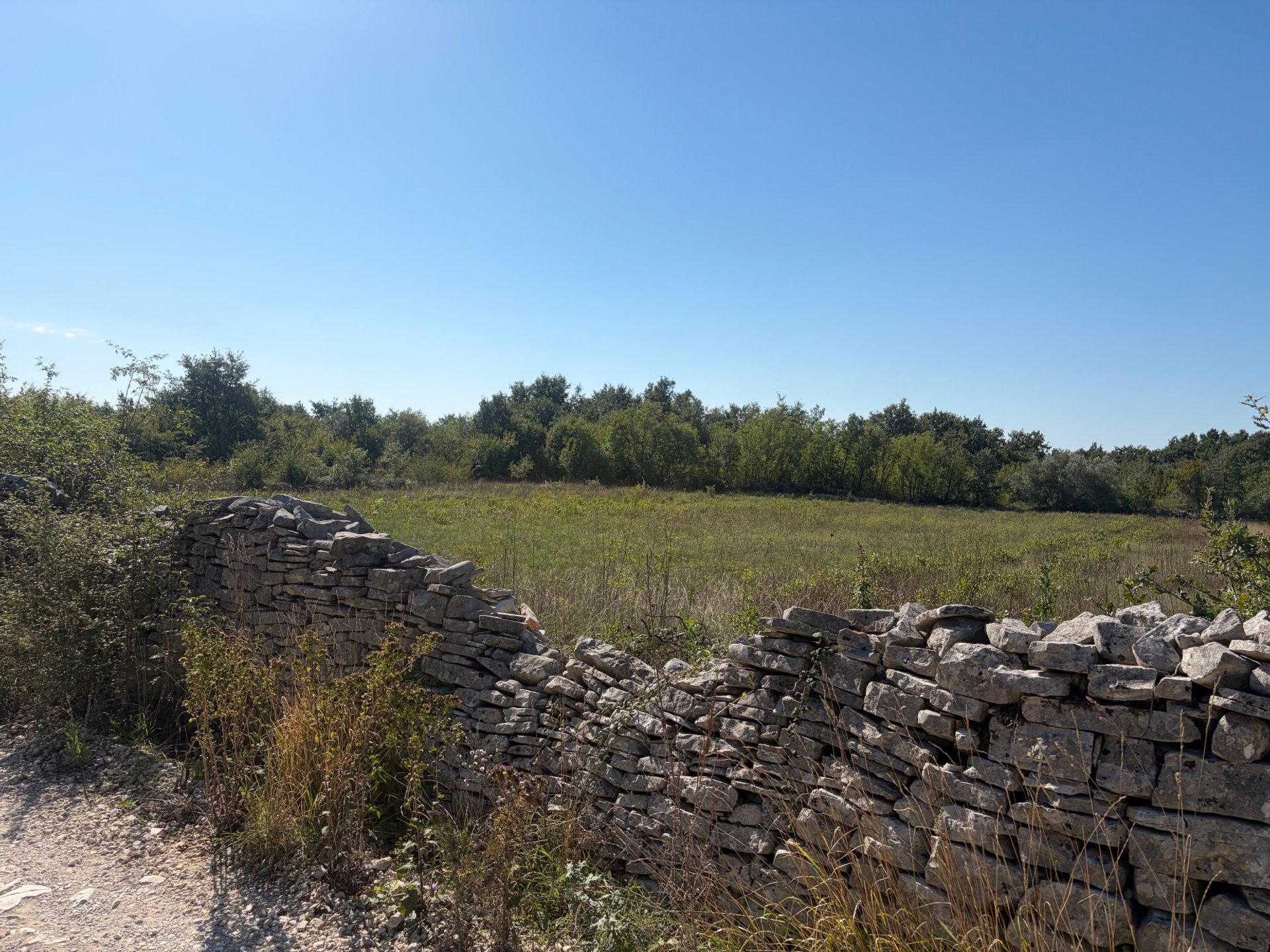 Land For sale - Istarska Svetvinčenat