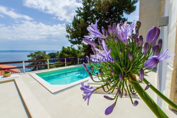 Haus Zu verkaufen - Splitsko-dalmatinska Brač - foto 4/34