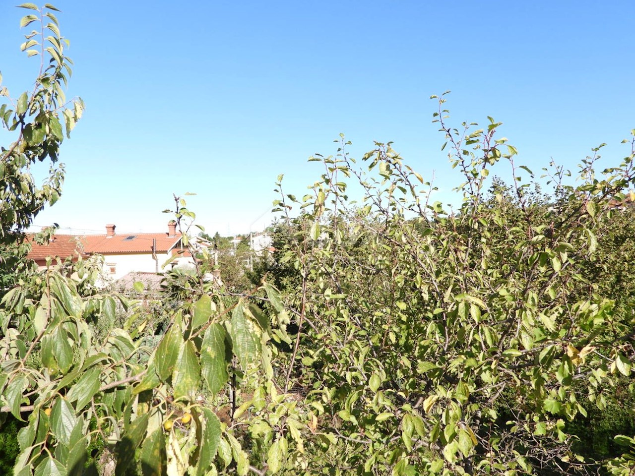 Terreno In vendita - PRIMORSKO-GORANSKA  VIŠKOVO 