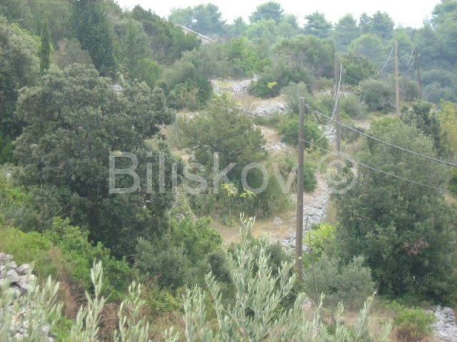 Pozemok Na predaj - Dubrovačko-neretvanska Korčula - foto 2/3