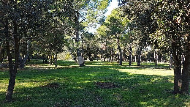 Terrain À vendre - ISTARSKA  ROVINJ 