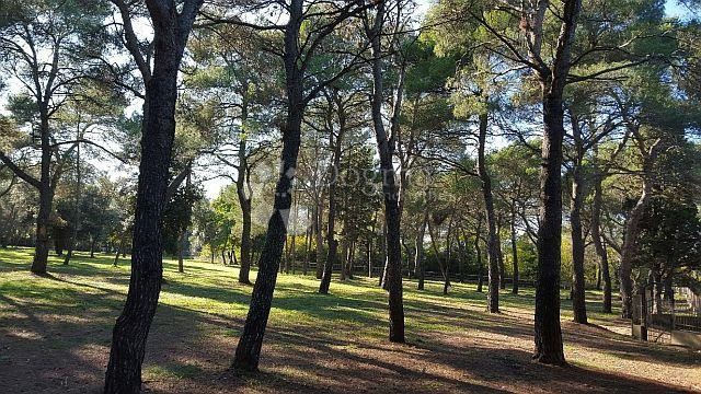 Terrain À vendre - Istarska Rovinj - foto 4/11