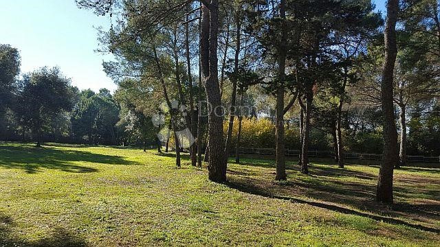 Terrain À vendre - ISTARSKA  ROVINJ 