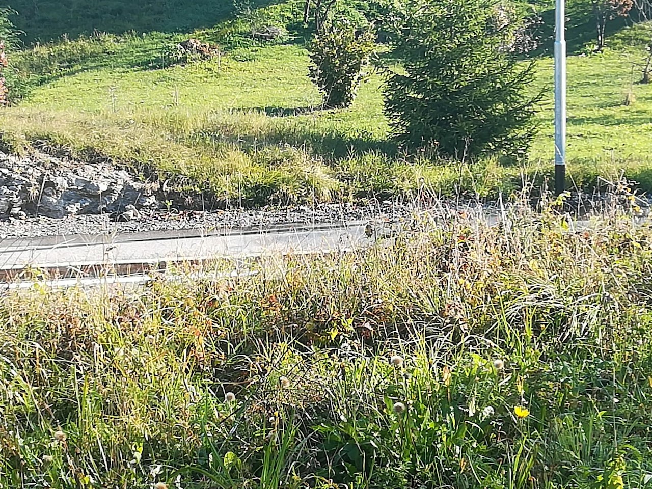 Land For sale - PRIMORSKO-GORANSKA  Vrbovsko