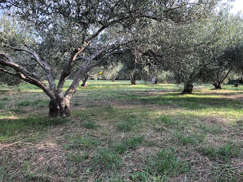 Terreno In vendita - SPLITSKO-DALMATINSKA  STARI GRAD 