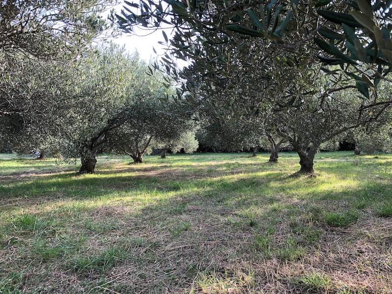 Grundstück Zu verkaufen - SPLITSKO-DALMATINSKA  STARI GRAD 