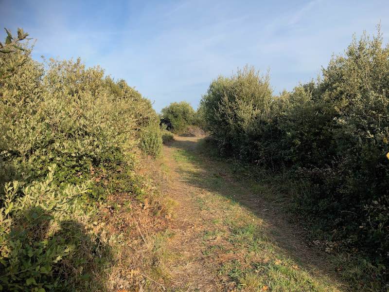 Terreno In vendita - SPLITSKO-DALMATINSKA  STARI GRAD 