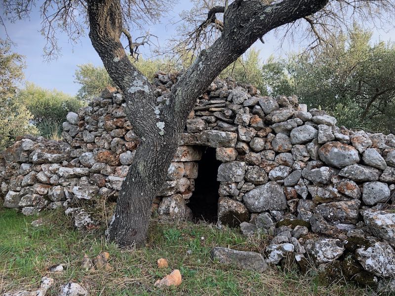 Terrain À vendre - SPLITSKO-DALMATINSKA  STARI GRAD 