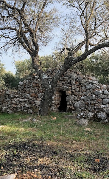 Zemljište Na prodaju - SPLITSKO-DALMATINSKA  STARI GRAD 