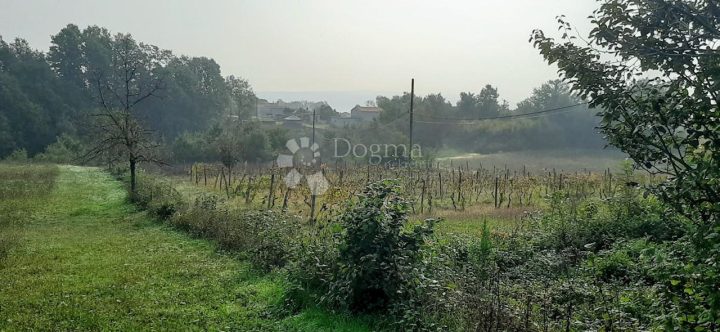 Zemljište Na prodaju - Istarska Barban - foto 3/6