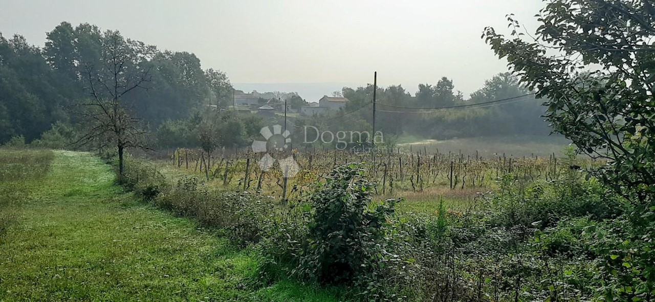 Zemljište Na prodaju - ISTARSKA  BARBAN 