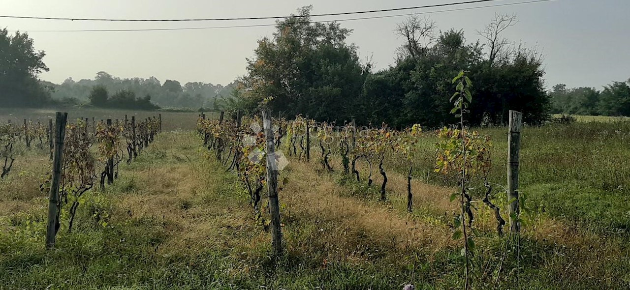 Zemljište Na prodaju - ISTARSKA  BARBAN 