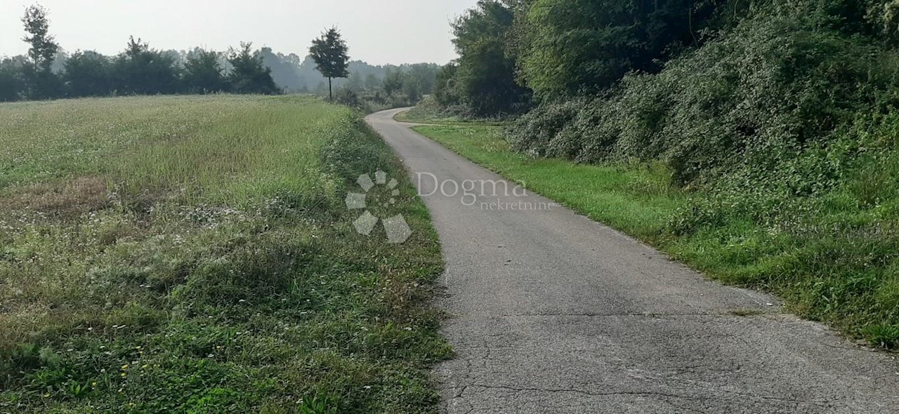 Land For sale - ISTARSKA  Barban