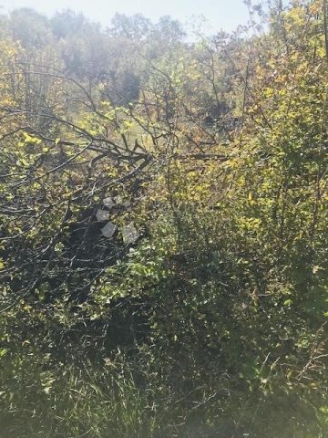 Zemljište na prodaju 12644 m² – Garica