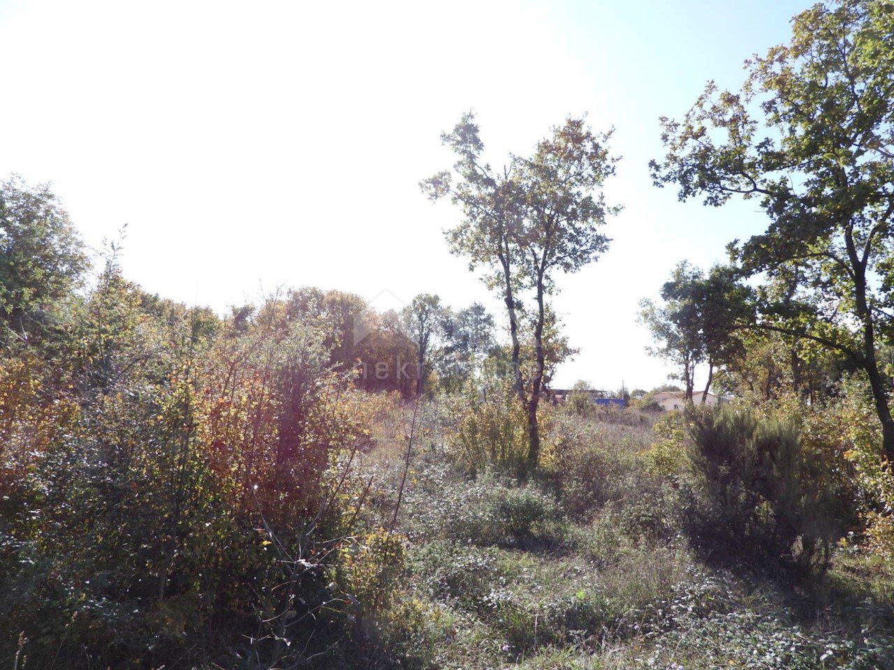 Terrain À vendre - ISTARSKA  MARČANA 