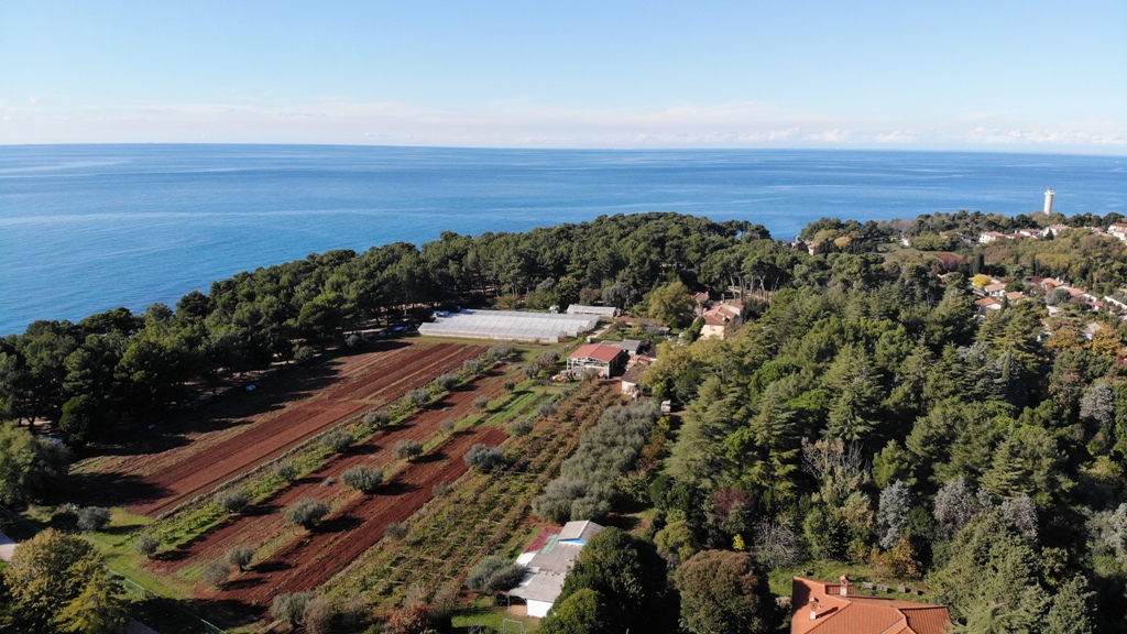 Terreno In vendita - Istarska Umag - foto 2/6