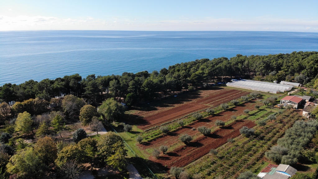Terreno In vendita - Istarska Umag - foto 3/6