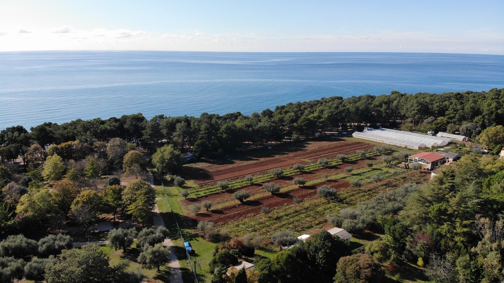 Terreno In vendita - ISTARSKA  UMAG 