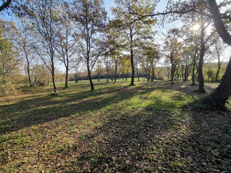 Pozemok Na predaj - ISTARSKA  TAR-VABRIGA 