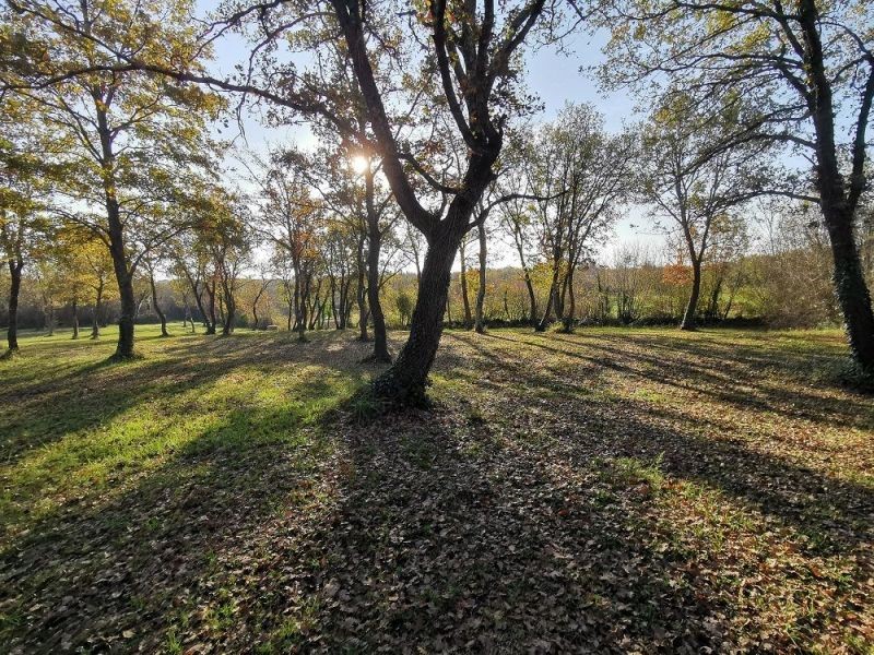 Pozemok Na predaj - ISTARSKA  TAR-VABRIGA 