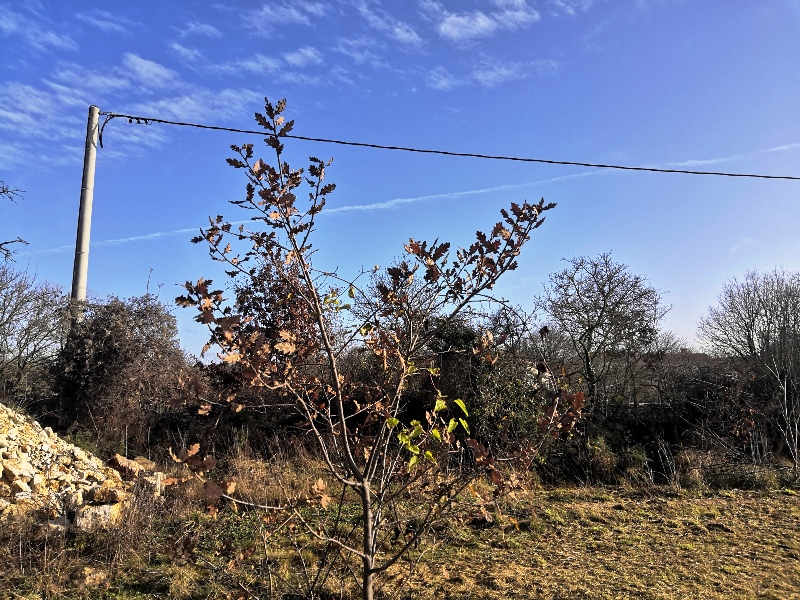 Terreno In vendita - ISTARSKA  SVETVINČENAT 