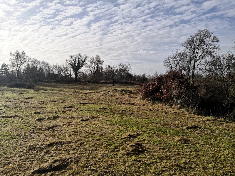 Terreno In vendita - ISTARSKA  SVETVINČENAT 