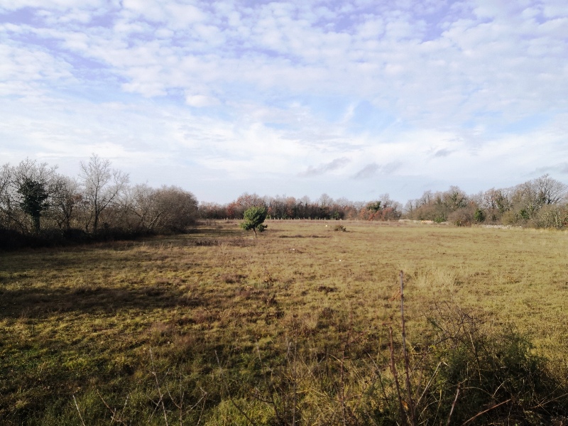 Terreno In vendita - ISTARSKA  SVETVINČENAT 