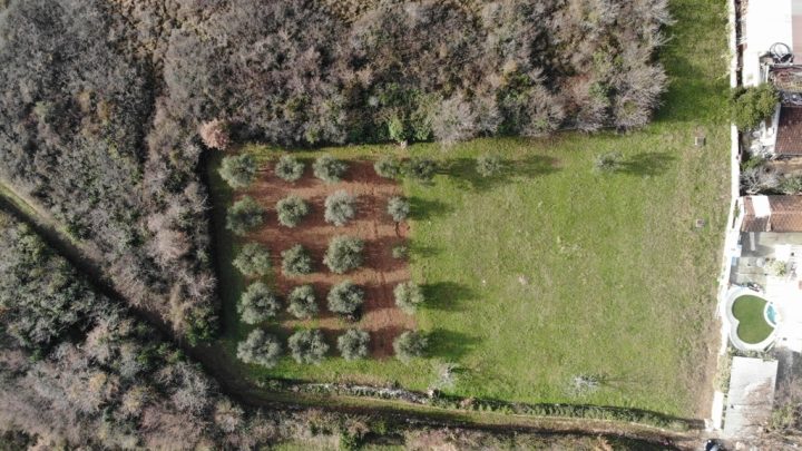 Land For sale - Istarska Novigrad - foto 4/5