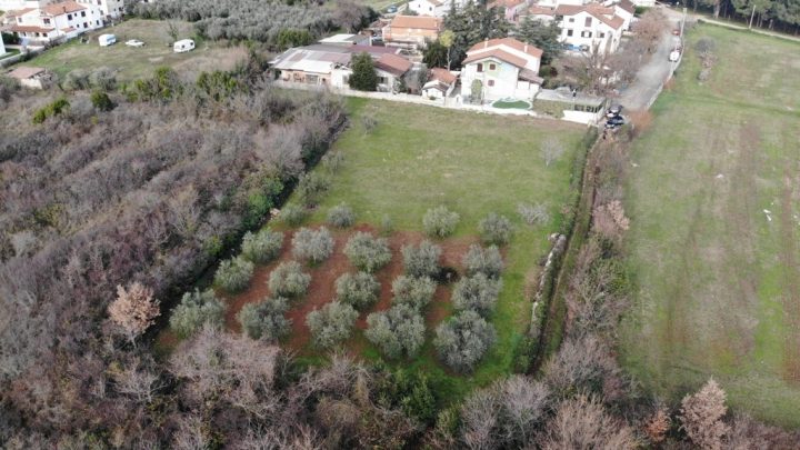 Land For sale - Istarska Novigrad - foto 5/5