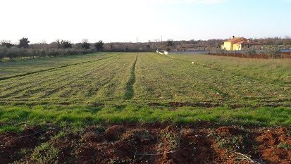 Pozemek na prodej 2931 m² – Raponji