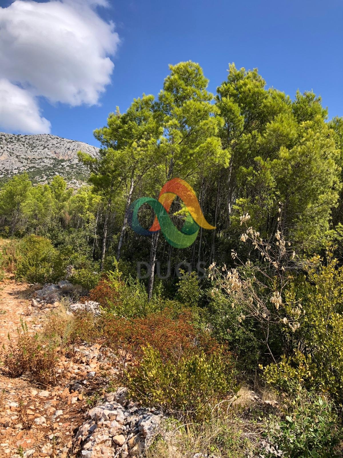 Terreno In vendita - SPLITSKO-DALMATINSKA  HVAR 