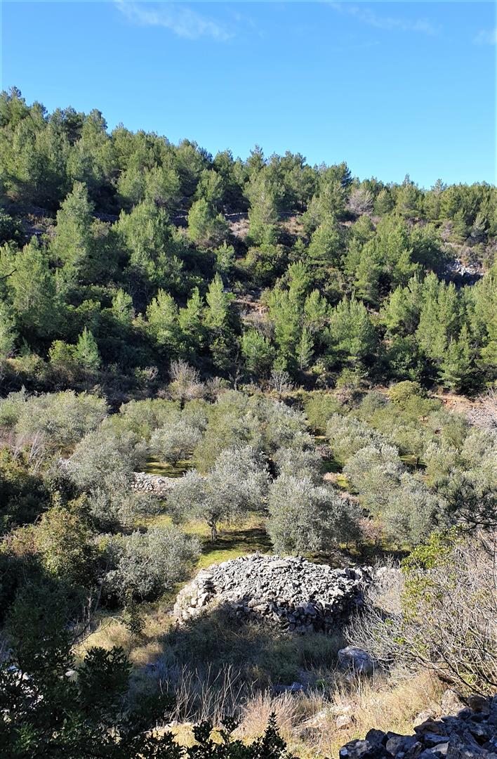 Terreno In vendita - SPLITSKO-DALMATINSKA  HVAR 